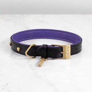 NWT buster & punch DOG COLLAR